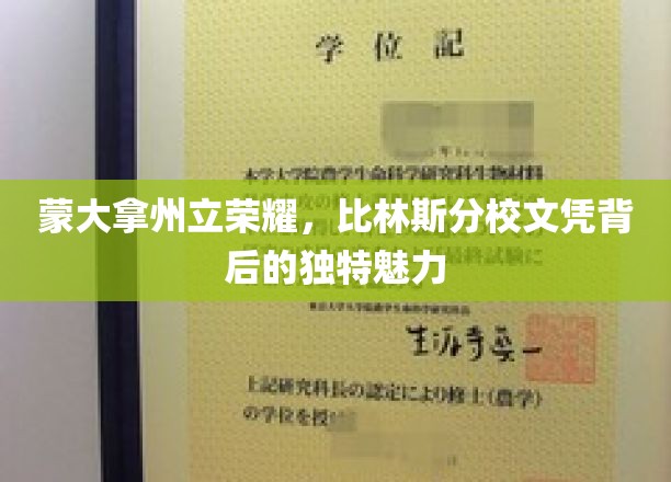 蒙大拿州立荣耀，比林斯分校文凭的独特吸引力揭秘