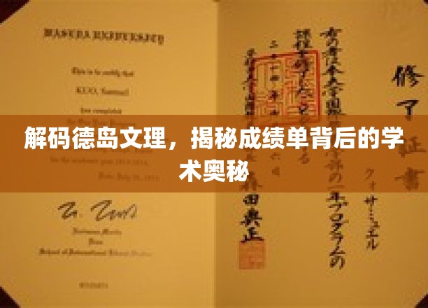 解码德岛文理，探索成绩单背后的学术奥秘