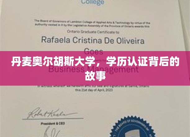 丹麦奥尔胡斯大学，学历认证背后的故事