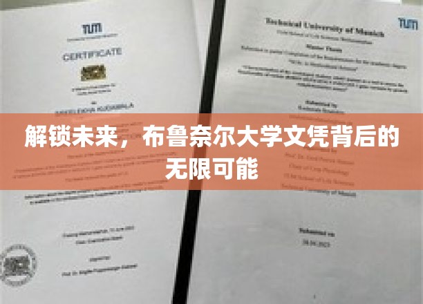 布鲁奈尔大学文凭，开启职业新世界的金钥匙