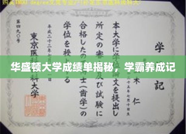揭秘学霸之路，华盛顿大学成绩单背后的秘密