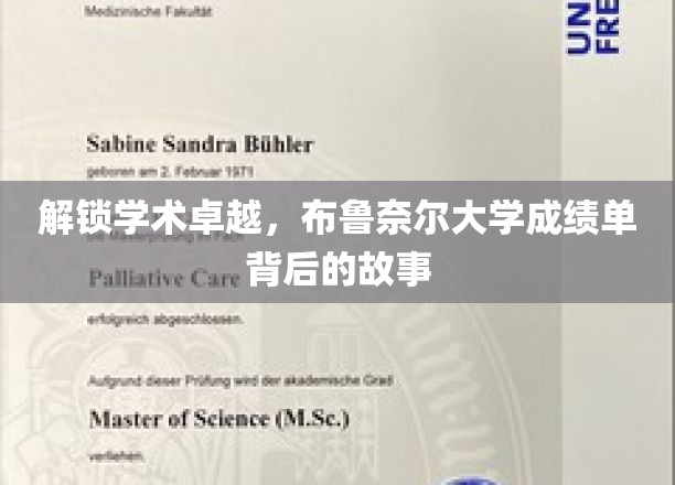 解锁学术卓越，布鲁奈尔大学成绩单背后的故事
