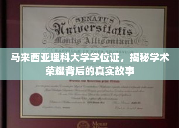 马来西亚理科大学学位证，揭秘学术荣耀背后的真实故事