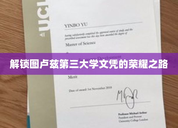 解锁图卢兹第三大学文凭的荣耀之路