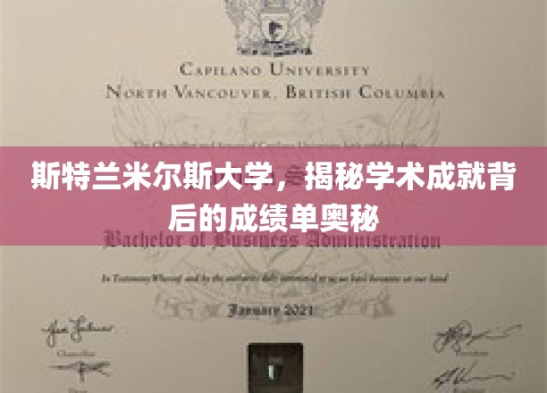 揭开斯特兰米尔斯大学学术辉煌背后的神秘成绩单之谜