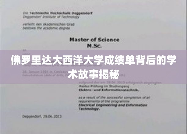 佛罗里达大西洋大学成绩单背后的学术故事揭秘
