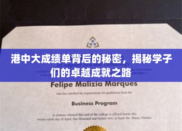 港中大学霸养成记，揭秘成绩单背后的辉煌成长故事