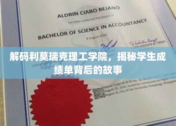 解码利莫瑞克理工学院，揭秘学生成绩单背后的故事