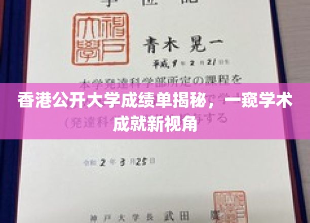 解码港公开大学成绩单，探索学术成就的秘密花园