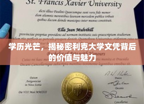 文凭之光，探秘利克大学学历的非凡价值与无限吸引力