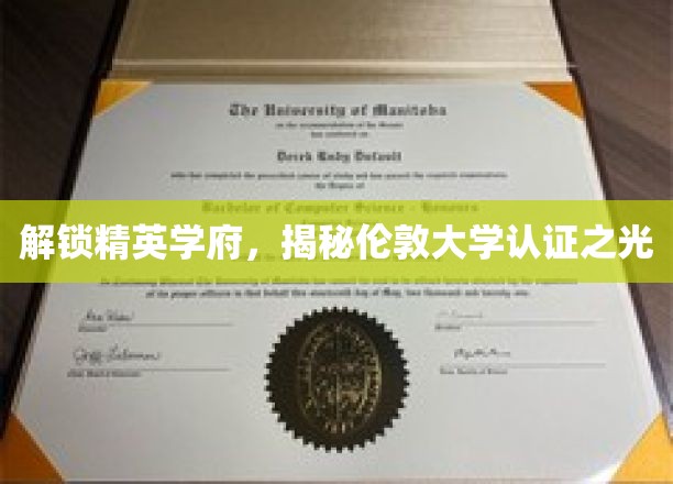 解锁精英学府，揭秘伦敦大学认证之光