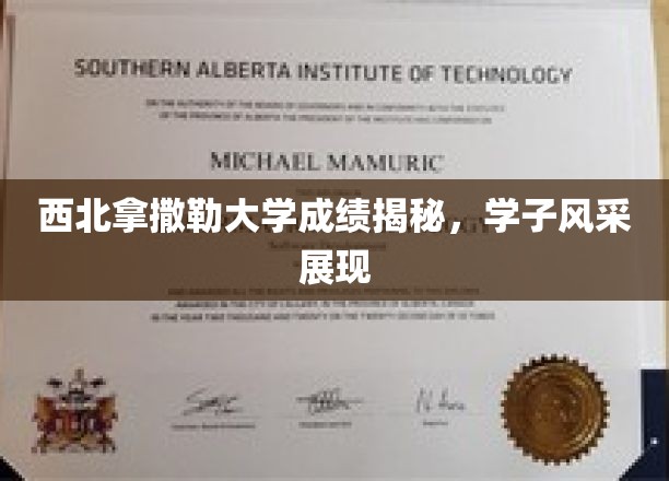 解码西北拿撒勒，学子荣耀瞬间，成绩斐然！