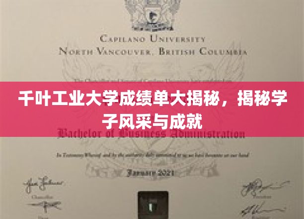 揭秘千叶工业大学精英风采，学子成绩与成就闪耀光芒