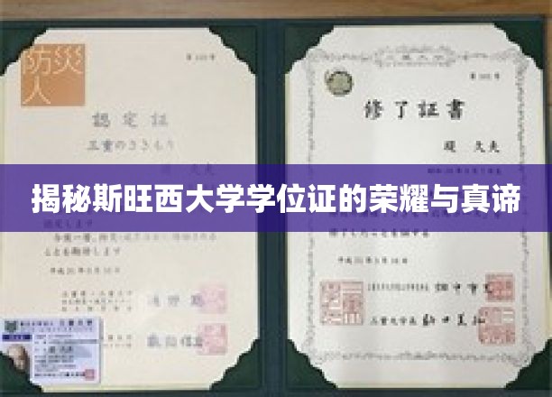 斯旺西大学学位证书背后的传奇故事，荣耀与真理揭秘