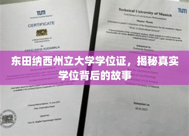 东田纳西州立大学学位证书，揭开学位背后的真实故事