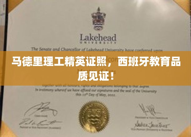 西班牙马德里理工，精英证照彰显卓越教育魅力
