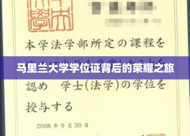 马里兰大学学位证背后的荣耀之旅