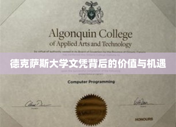 德克萨斯大学文凭，解锁未来无限价值与机遇之路