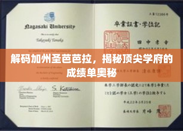 解码加州圣芭芭拉，揭秘顶尖学府的成绩单奥秘