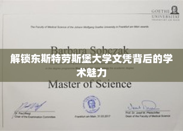 解锁东斯特劳斯堡大学文凭背后的学术魅力