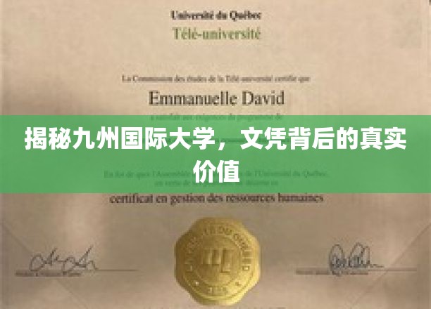九州国际大学文凭，揭开其背后隐藏的教育价值密码