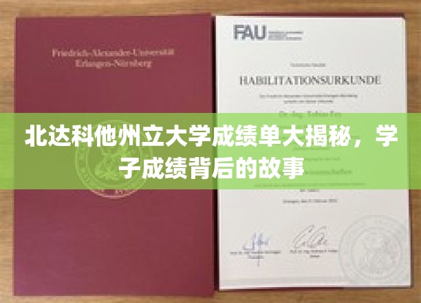 北达科他州立大学成绩单大揭秘，学子成绩背后的故事