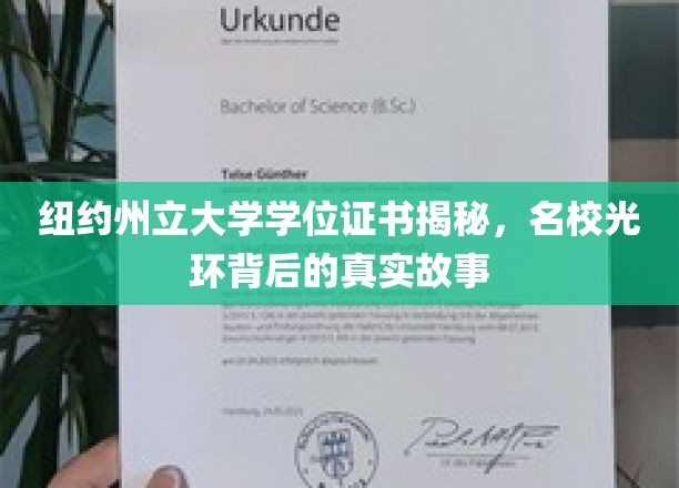 纽约州立大学学位证书揭秘，名校光环背后的真实故事