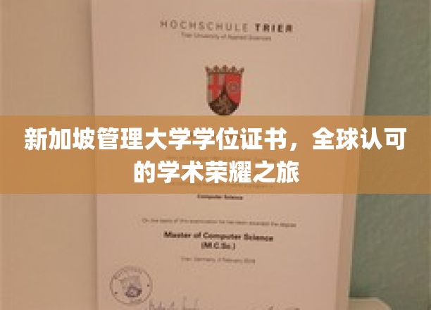 跨国荣耀之路，新加坡管理大学学位，开启全球认可的教育新篇章