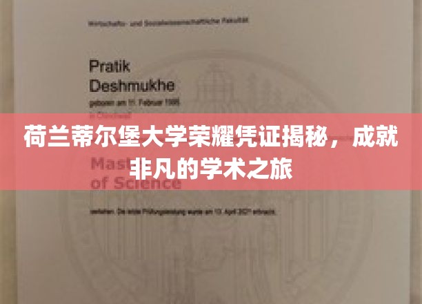 荷兰蒂尔堡大学荣耀凭证揭秘，成就非凡的学术之旅