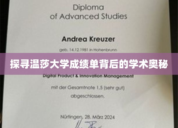 探寻温莎大学成绩单背后的学术奥秘