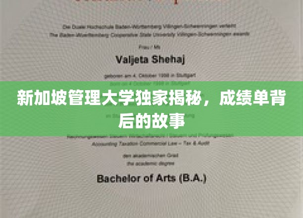解码新加坡管理大学，成绩单背后的不凡历程