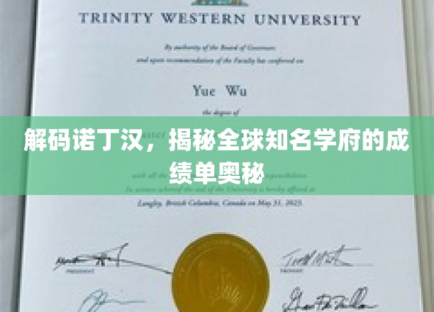 诺丁汉荣耀，一探全球顶尖大学的卓越成就之谜