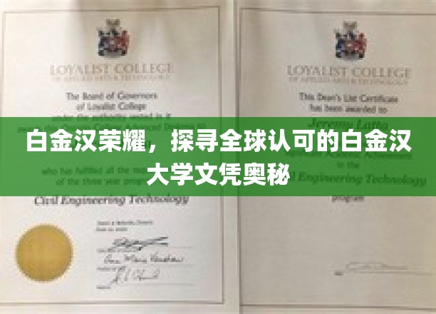 解码白金汉荣耀，揭秘全球瞩目的大学文凭之谜