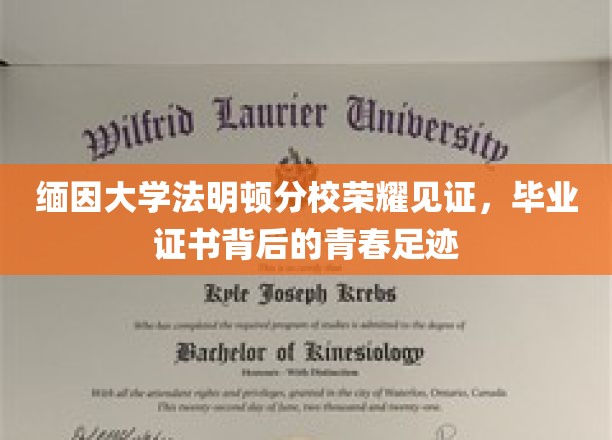 缅因荣耀，法明顿分校毕业证书映照青春足迹