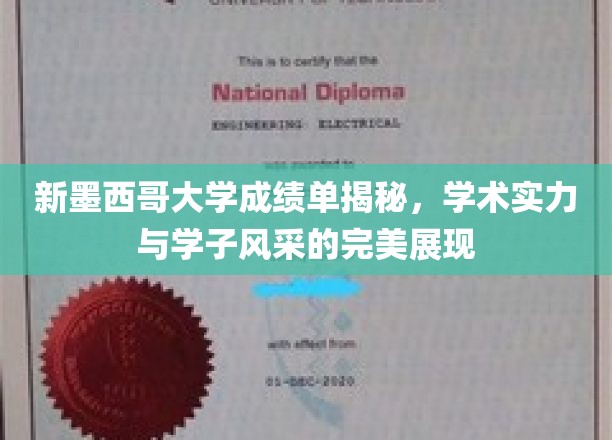 解码新墨西哥大学，学子风采与学术实力的璀璨画卷