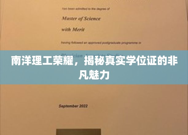南洋理工骄子风采，探寻学位证书的无尽魅力