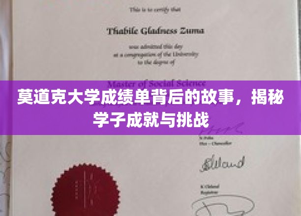 探寻莫道克大学成绩单背后的奋斗足迹
