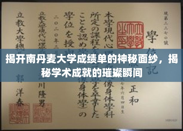 揭开南丹麦大学成绩单的神秘面纱，揭秘学术成就的璀璨瞬间