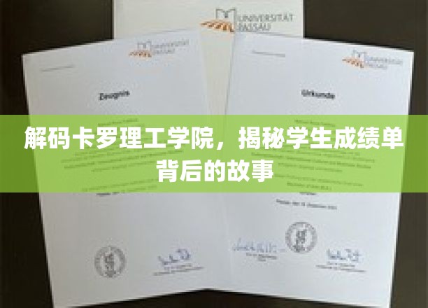 揭开卡罗理工学院成绩单的神秘面纱，背后的故事大揭秘