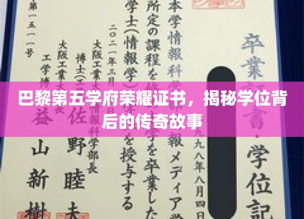 探寻巴黎第五学府荣耀证书，学位背后的传奇轨迹