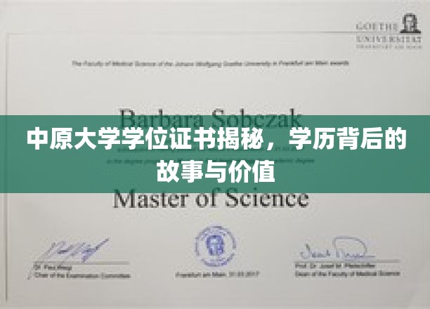 探秘中原，学位证书背后的传奇与时代印记