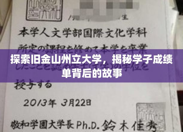 走进旧金山州立大学，探寻学子成绩单背后的精彩人生