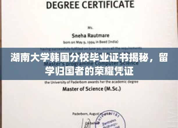 留学归国者的荣耀见证，湖南大学韩国分校证书背后的故事