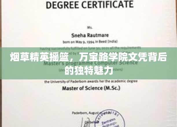 烟界翘楚孵化器，揭秘万宝路学院文凭的非凡价值