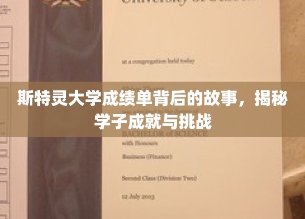 斯特灵学子成绩单背后的奋斗与成长之路