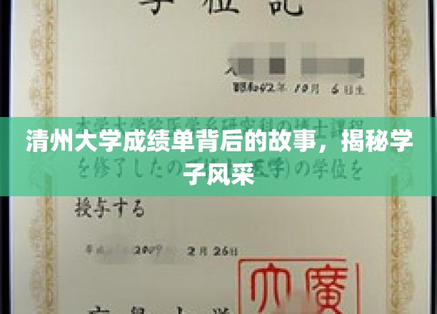 清州学子风采录，揭开成绩单背后的精彩篇章