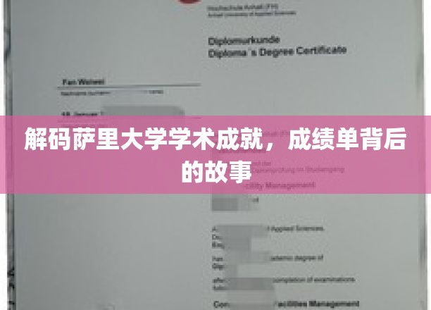 解码萨里大学学术成就，成绩单背后的故事