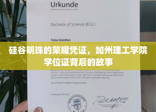 硅谷璀璨明珠的荣耀通行证，解密加州理工学院学位证的传奇背后