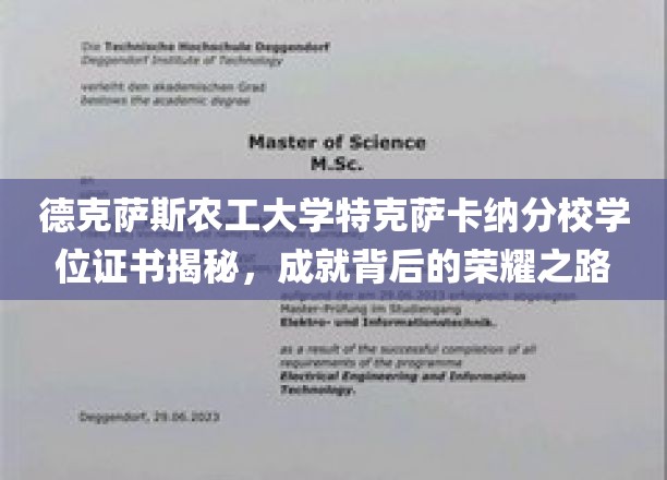 解码德克萨斯农工大学特克萨卡纳分校荣耀证书，探寻学位背后的辉煌历程