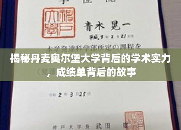 探秘丹麦奥尔堡大学，揭秘学术辉煌背后的真实历程